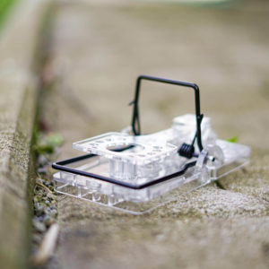 piège mécanique transparent spécial rat Gorilla trap